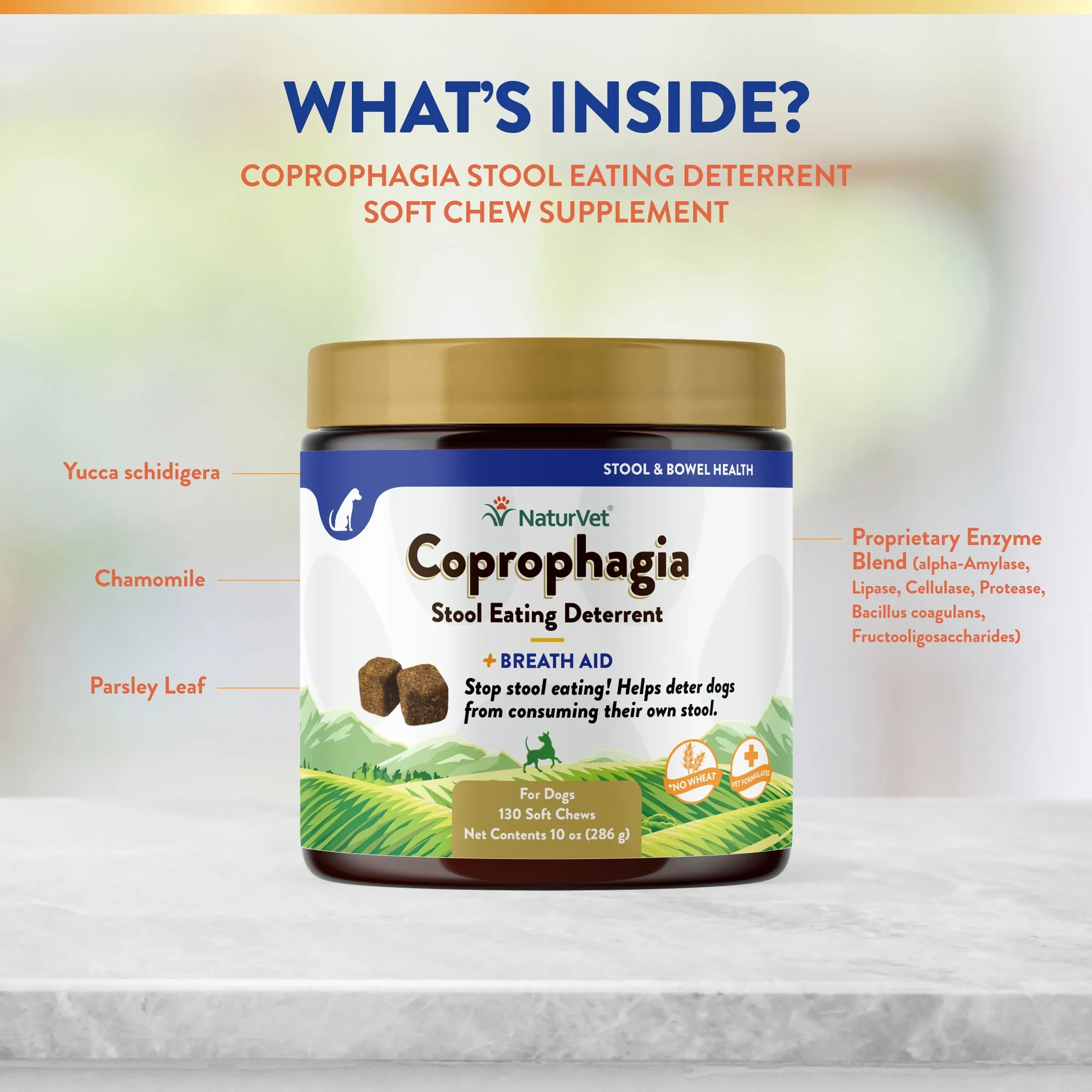 Coprophagia Stool Eating Deterrent Soft Chews